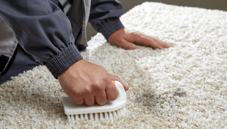 Professional Rug Cleaning Wandana Heights