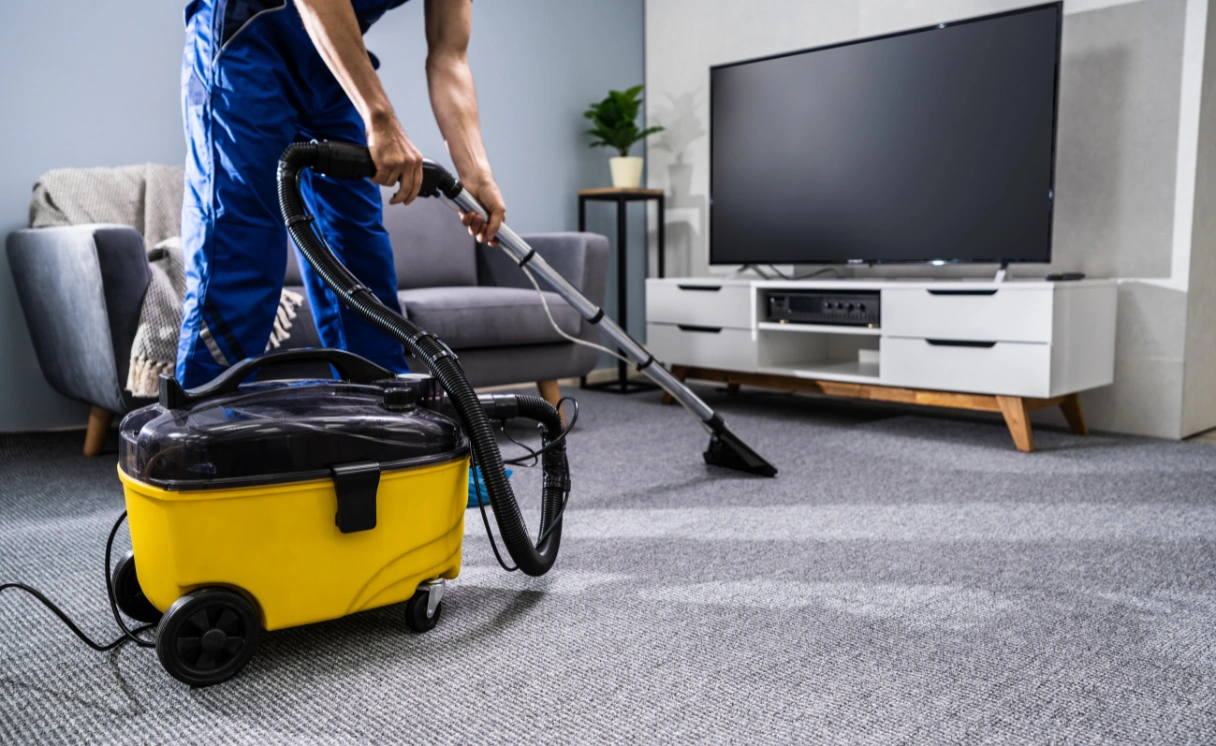 Extract Rug Cleaning Wandana Heights Contact Office